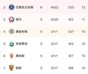 棋牌游戏- 法甲积分榜群雄混战加剧  